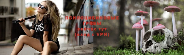 мяу мяу кристалл Козловка