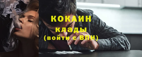 прущие грибы Костерёво