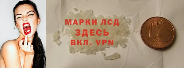 прущие грибы Костерёво