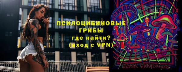 прущие грибы Костерёво
