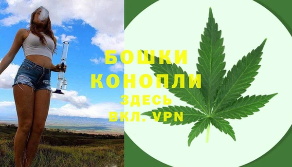 прущие грибы Костерёво