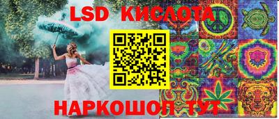 шишки Краснознаменск